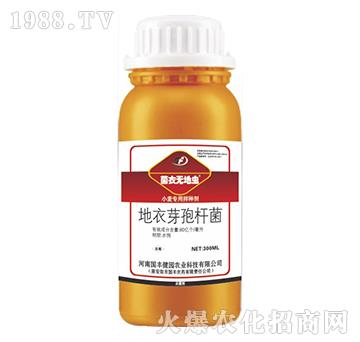 С�����ð�N��-���o���x-���S���@