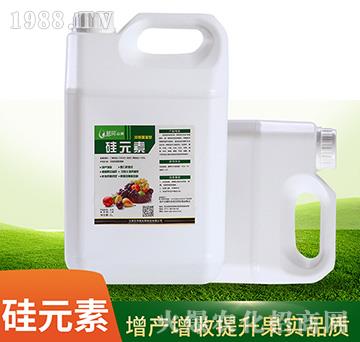 �r����Ԫ���~���-�r(n��ng)������