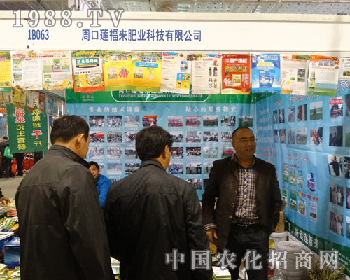 �ܿ�ɏ����2013��19��ɽ�|ֲ�����ו����̻�