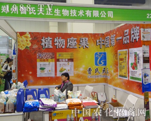 ���������ڵ�ʮһ�ú��Ϸ���չ��������