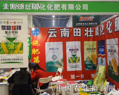 ��������׻����I(y��)���Є�(d��ng)��11�����ݷ��ϕ�(hu��)