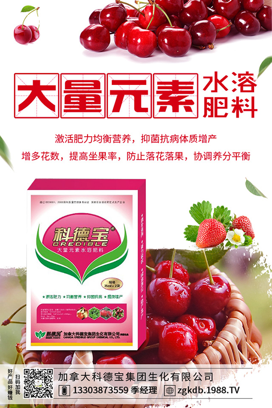 ������(ji��)�N��ᘹ����������������(ji��)��ᘹ�����������