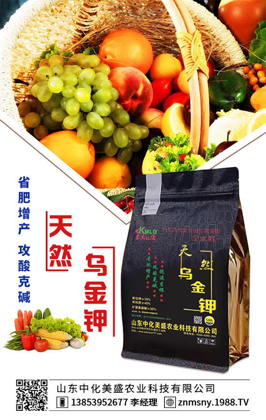 �۲˞�ʲô�����F(xi��n)���ģ��۲˿��ĵķ��δ�ʩ��