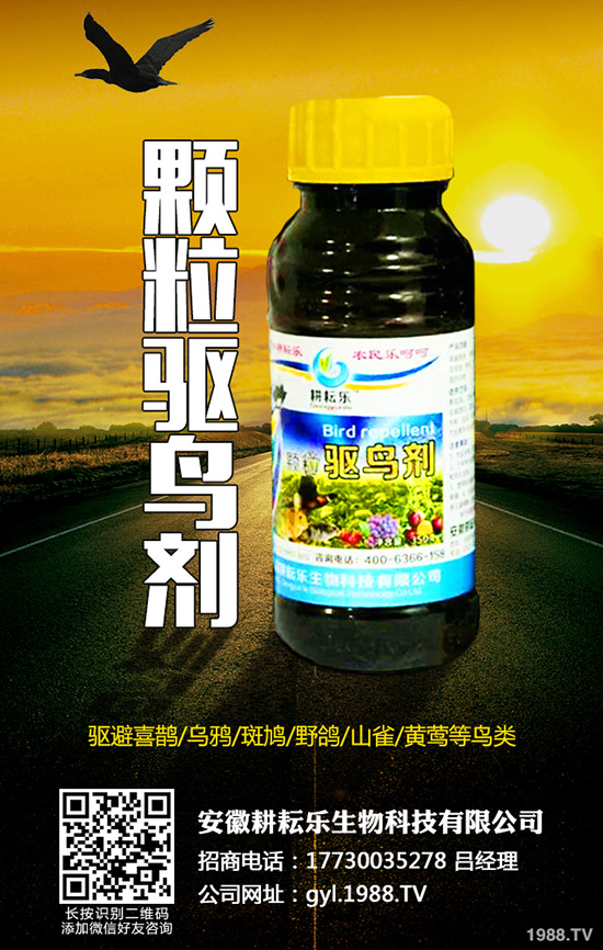 �������ܚ�ʲô�x�����������c(di��n)������������ʹ��ע�����(xi��ng)��