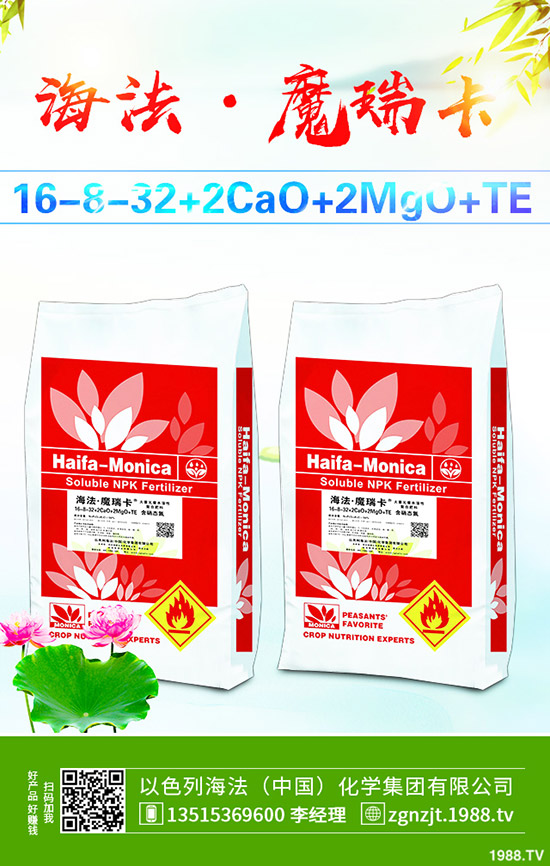     2019��10��31�ս��Շ���(n��i)���@�r(ji��)���߄ݼ��������u