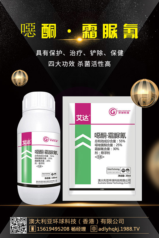     ������������xُ(g��u)������������ُ(g��u)�Iע�����(xi��ng)���`�^(q��)��