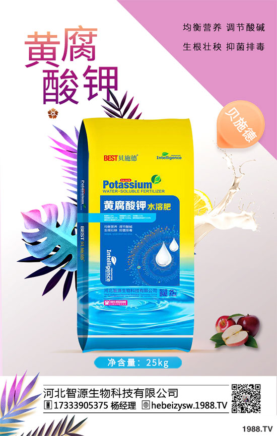 ����ը���ӷNֲ�����¹����༼�g(sh��)��