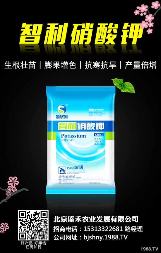 黑豆什么時(shí)候種植，黑豆的種植要點(diǎn)有哪些？