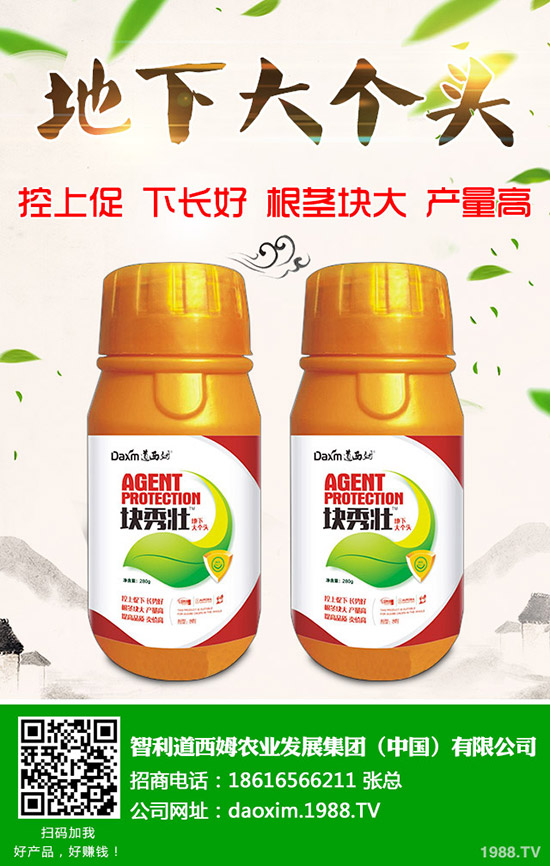 蘿卜得了炭疽病怎么辦？蘿卜炭疽病癥狀和防治方法！