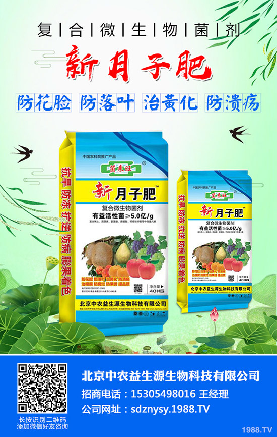     �t��ӭ������������2019��ȼt���r�������߄ݼ�������r��