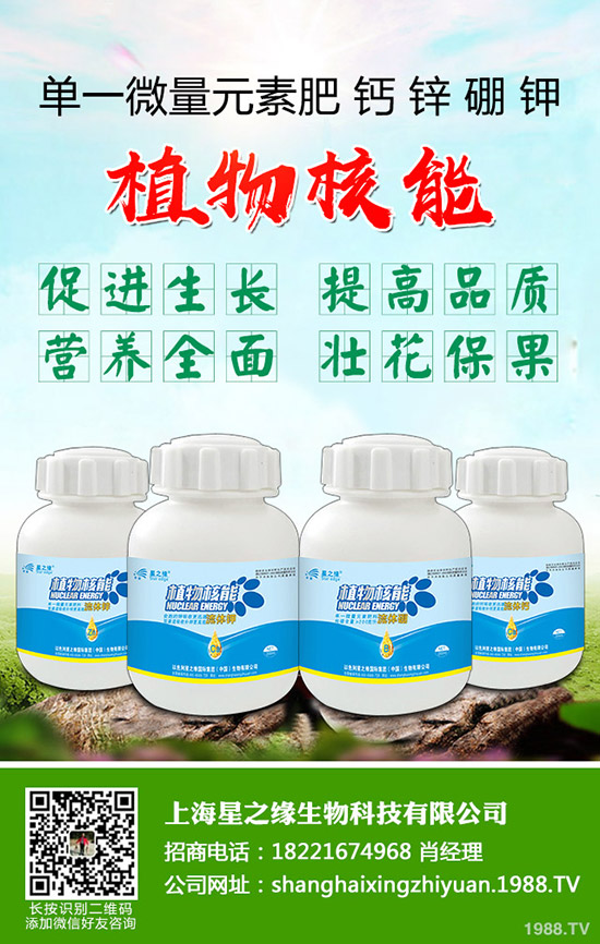 ѿ�����ӷNֲ��ѿ�˷Nֲ���g(sh��)���˽������