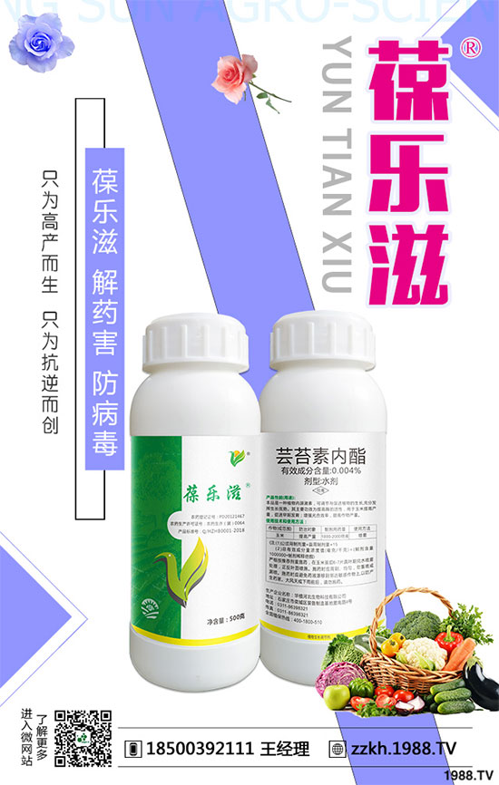 ��Ҭ�˺ڸ���Σ������Щ����Ҭ�˺ڸ����ķ��δ�ʩ��