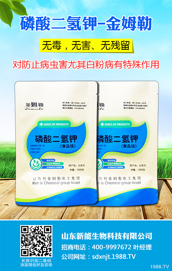 魔芋價格多少錢一斤？2020年魔芋種植的市場行情