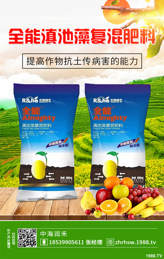 ���r����͸���������Щ�^(q��)�e���ǂ�(g��)Ч�����ã�