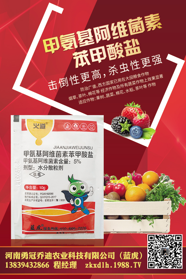 ���[������ô���������[��Ҋ(ji��n)���x(ch��ng)������