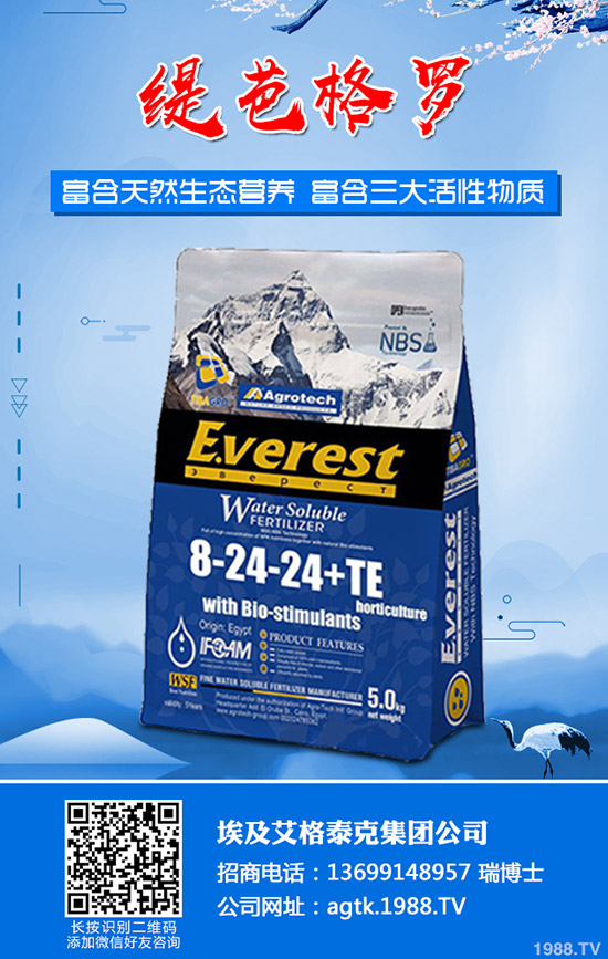 ����ʲô�r�g�������������緽��