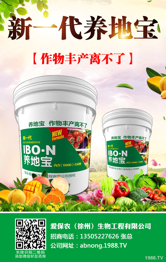 �Ͳ��~�t��ȱʲô���Ͳ˼t������ؼ�����