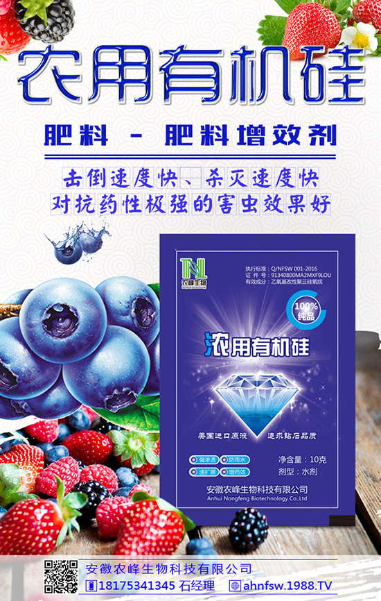 枸杞得了炭疽病怎么辦？枸杞炭疽病危害及防治方法！