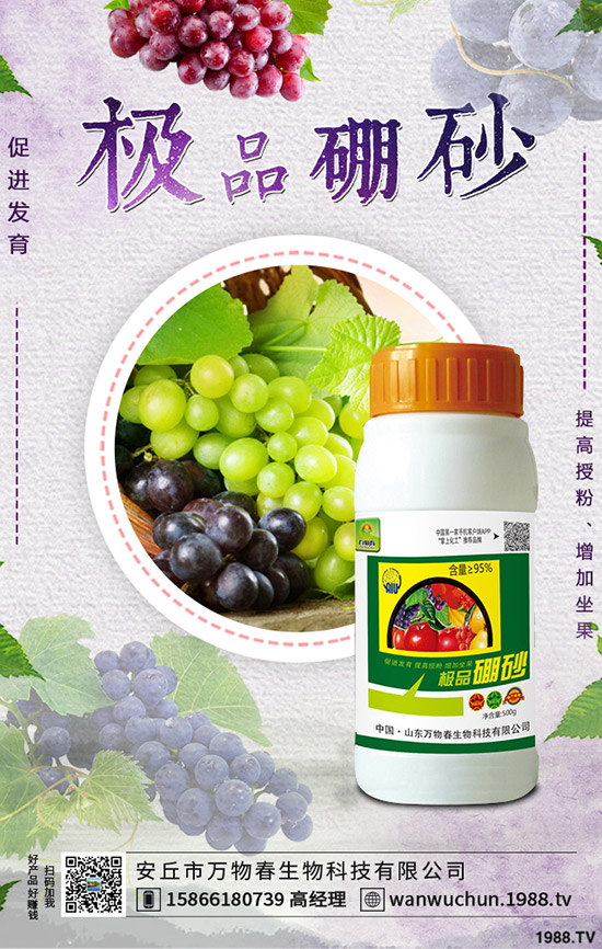 �����ηNֲ����轷Nֲ�l������Щ��