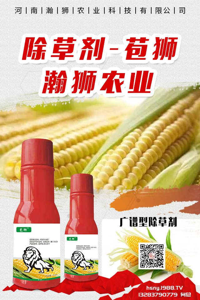�������x����N���ò������������x����N����B