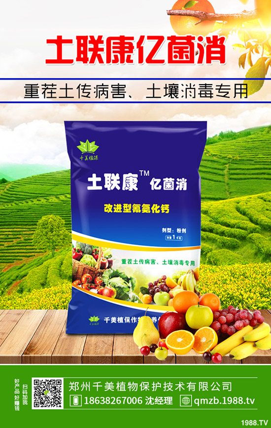     �＾����������ι������＾����������ֲ�������g(sh��)��