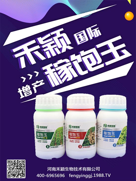 ����Nֲ���ի@�r�g������Nֲ�����L�h(hu��n)����