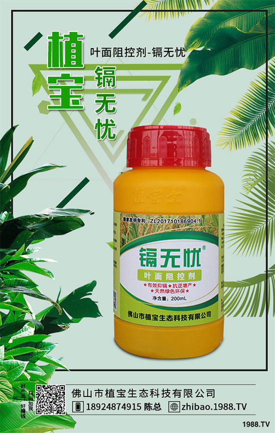 �＾���[ʲô�r�g�Nֲ��2019�����[�Nֲ���gָ��