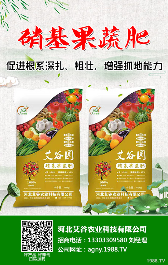 ��Ҭ���c���m���ĠI(y��ng)�B(y��ng)�r(ji��)ֵ��ʲô��ͬ����Ҭ�����m���ą^(q��)�e����Щ��