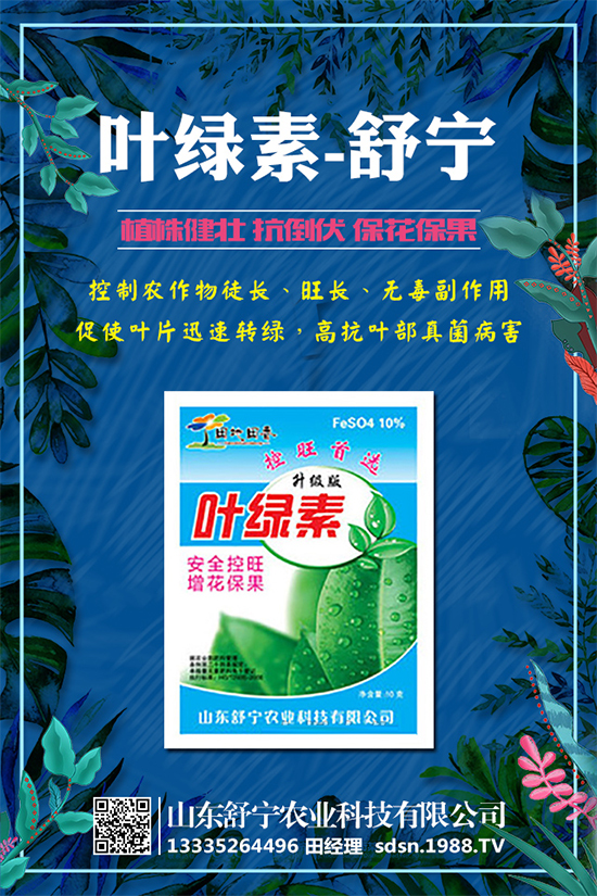 ������ô�Nֲ���Nֲ���ӵ�ע�����(xi��ng)����Щ��