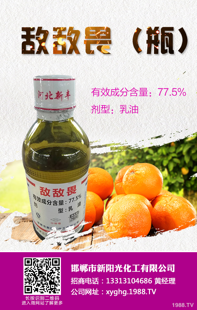 柑橘紅蜘蛛怎么防治？柑橘紅蜘蛛有效防治技巧