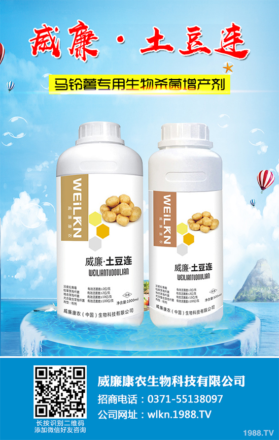 �㶹����������ЩΣ�����F(xi��n)��ԓ���ӷ������㶹���������η���