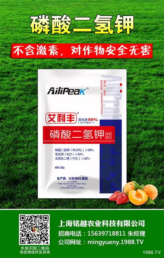 �㶹����������ЩΣ�����F(xi��n)��ԓ���ӷ������㶹���������η���