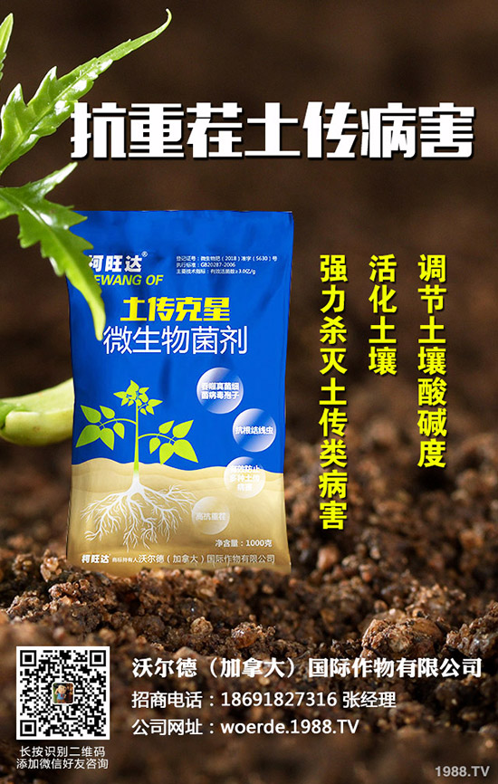 ����ʲô�r(sh��)�����磬��������ķ�������Щ��