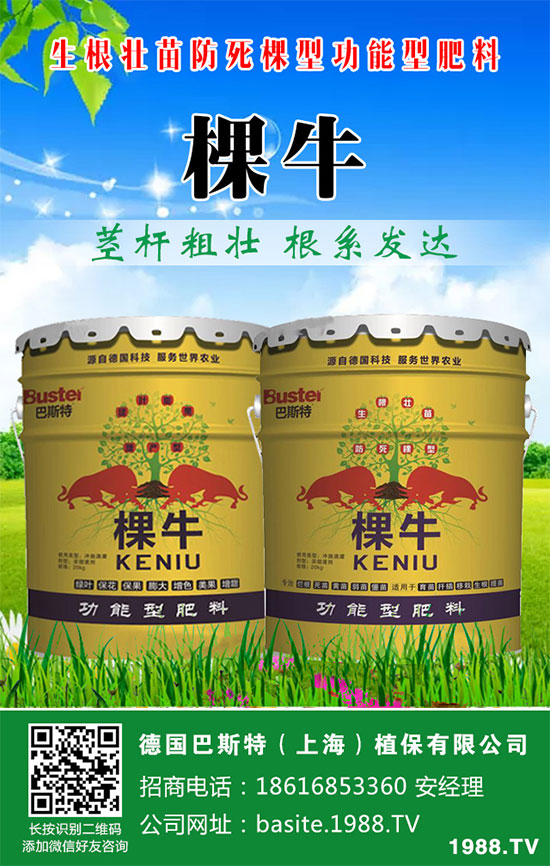���[���ʩ�������[�ƌW(xu��)������ʩ�ʷ�����