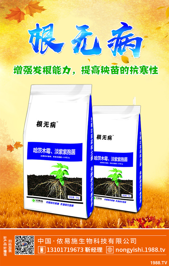     ���z�䚢�����r(ji��)��