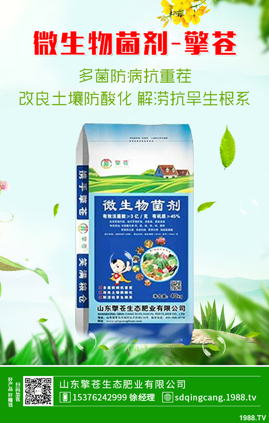     部分廠家尿素價格上漲！2020年1月10日各地區(qū)尿素主流出廠報價！