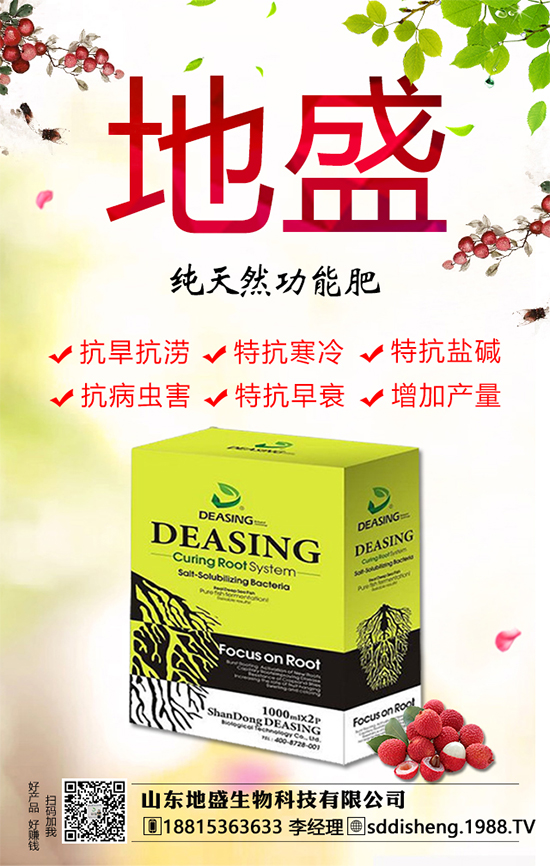 �Ͳ��ķNֲ�����������Ͳ��Ľ�(j��ng)��(j��)�r(ji��)ֵ�����