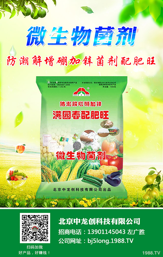 ����ʲô�r(sh��)��Nֲ���������ٵ�����Ҫ�c(di��n)����Щ��