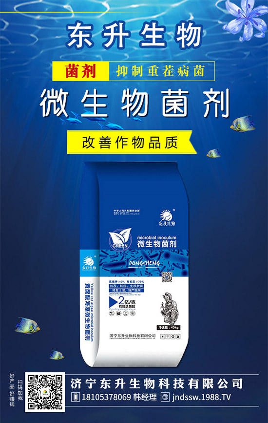 ʯ���ʲô�r(sh��)��޽Ӻã�ʯ���޽ӷ�������Щ����