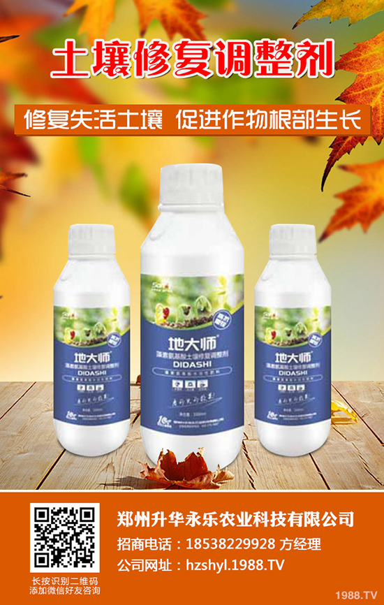 芍藥怎么種，芍藥種植技術(shù)要點(diǎn)有哪些？