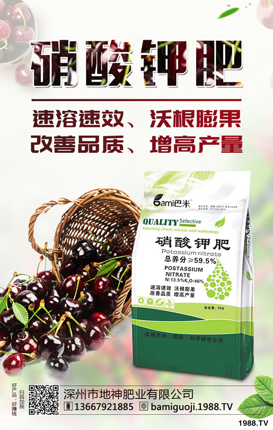 �t������r�g��ʲô�r�����t�����緽������Щ��