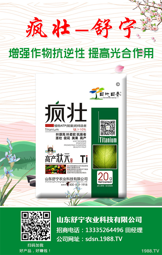 種植香菇需要投入多少？香菇種植成本利潤(rùn)分析