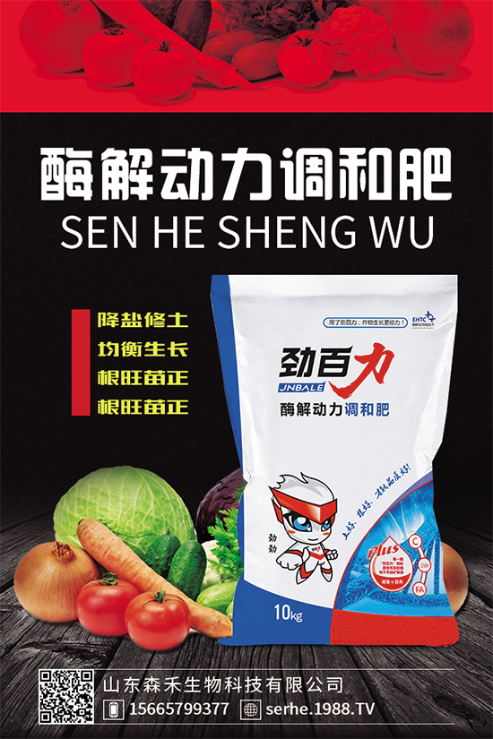 種植香菇需要投入多少？香菇種植成本利潤(rùn)分析