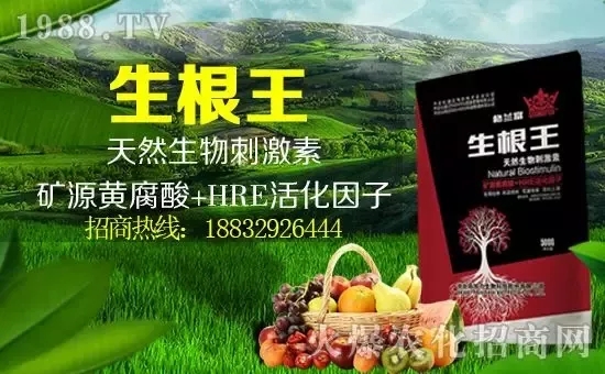 С���q�r(ji��)����(g��)�e��(b��o)�r(ji��)���^(gu��)2500Ԫ/����