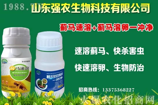 �ﶬ11�·Nֲʲô�߲˱��^���m���߲˷Nֲע����헣�