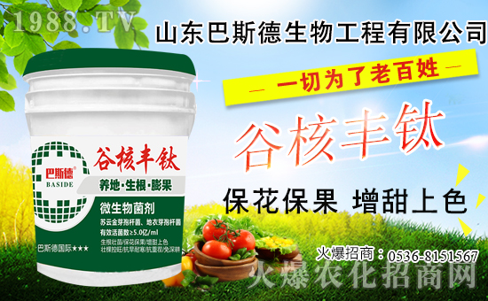 ���䶬���޼�ʲô�r����ѣ������޼���������Щ��