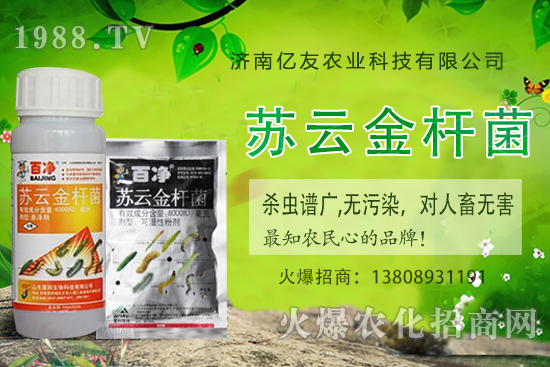 �S�ҷNֲ��(y��ng)ԓע����Щ���(xi��ng)���S�ҷNֲ�r(sh��)�g�����g������