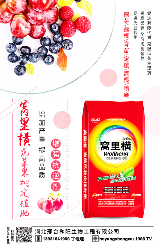 ���t�������Ҏ(gu��)����ʲô����