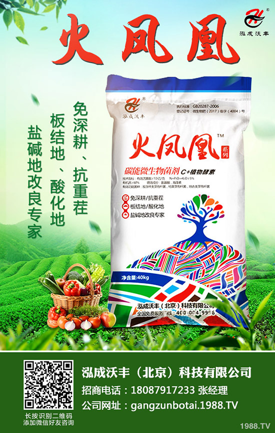 ��Ҋ�������ɺ��x����Щ���������ɺ��x���������