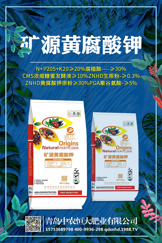 �紺���˷Nֲ���g(sh��)����Щ�����g����Ҫע��ʲô��